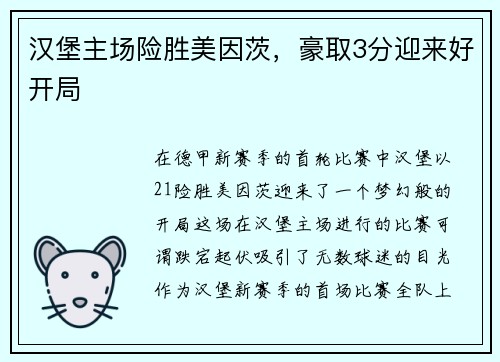 汉堡主场险胜美因茨，豪取3分迎来好开局